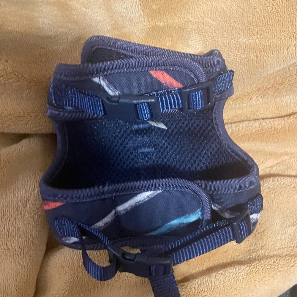 Kitten Harness